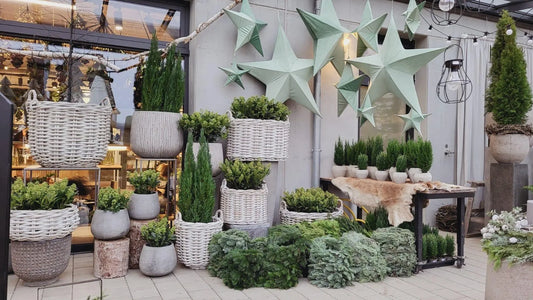 Duftkerzen und Blumen im Einklang – Unsere handgemachten Kerzen im Blumenwerk Owingen