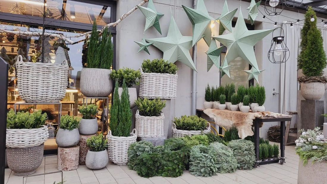 Duftkerzen und Blumen im Einklang – Unsere handgemachten Kerzen im Blumenwerk Owingen